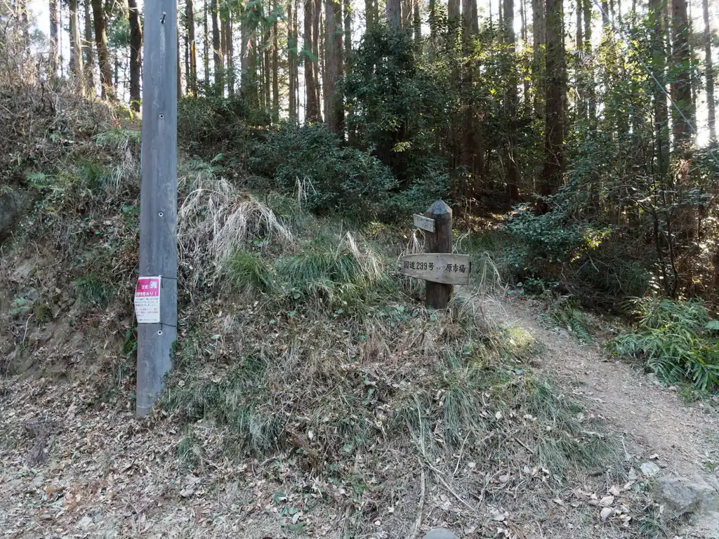 向かいの登山道へ。