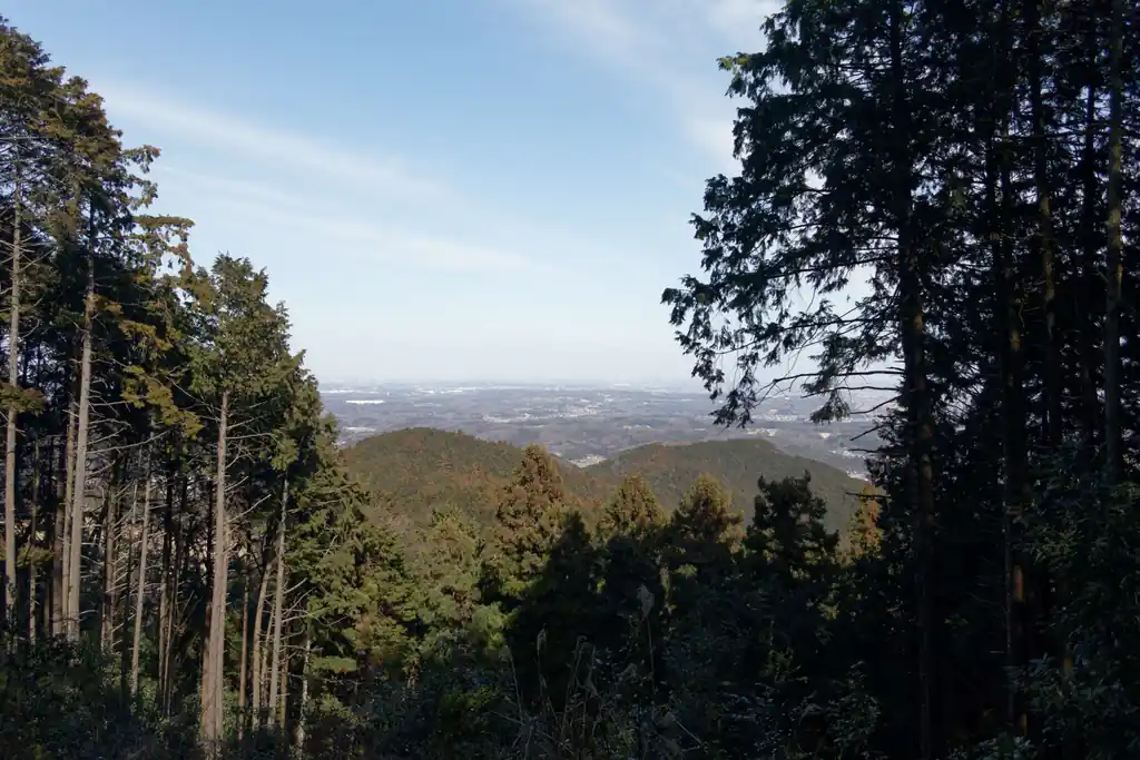 そんなこんなで山頂に到着。今日は霞んでいて遠くまで見渡せませんが、空気が澄んでいると筑波山とか見えたと思う。