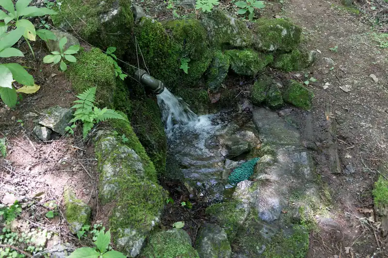 やけに水が流れる音がするなあ、と思っていたら水がジャボジャボと流れていた。
