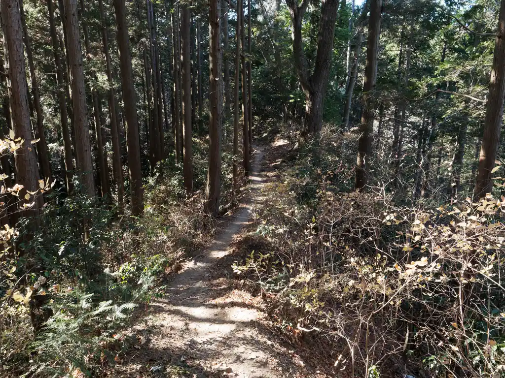 振り返って撮影。
ここは道が少し細くなっていた。すれ違わないように向かいに歩いてくる人がいないか確認してから進む。