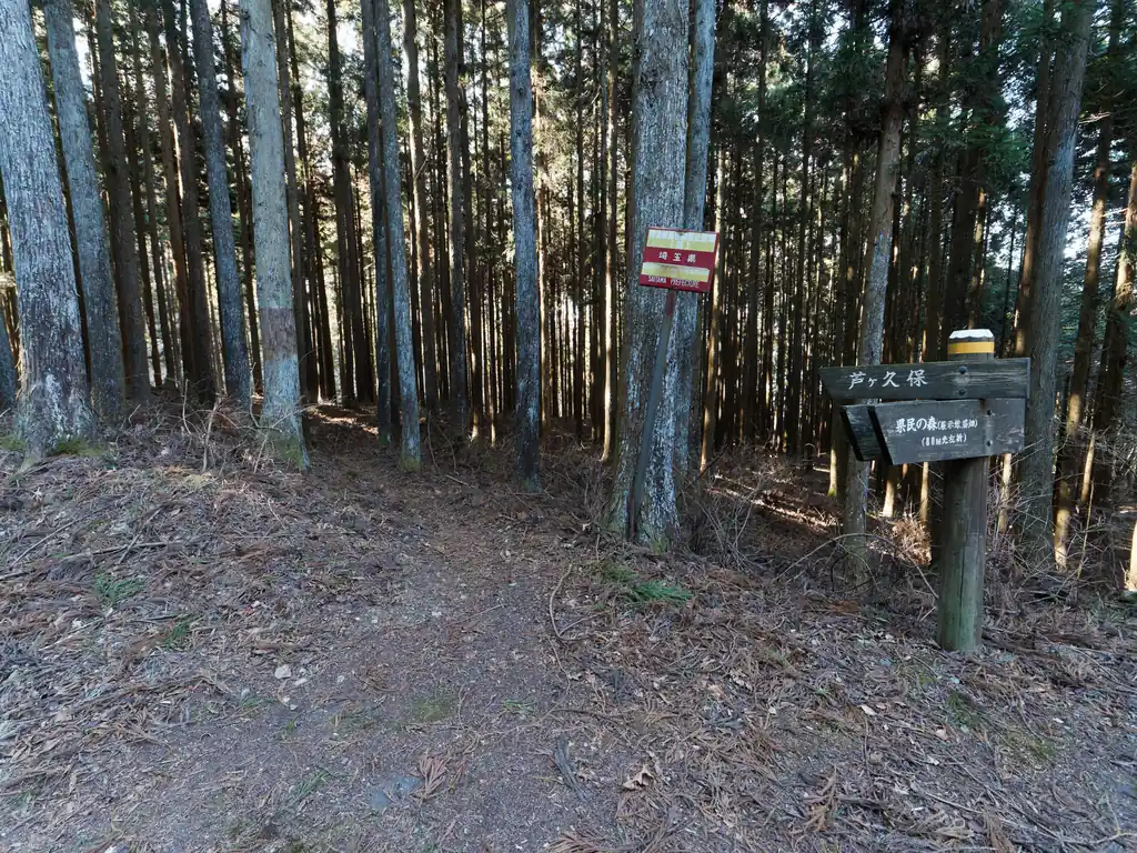 ここから出てくる。まあ登山口から1時間ってところか。