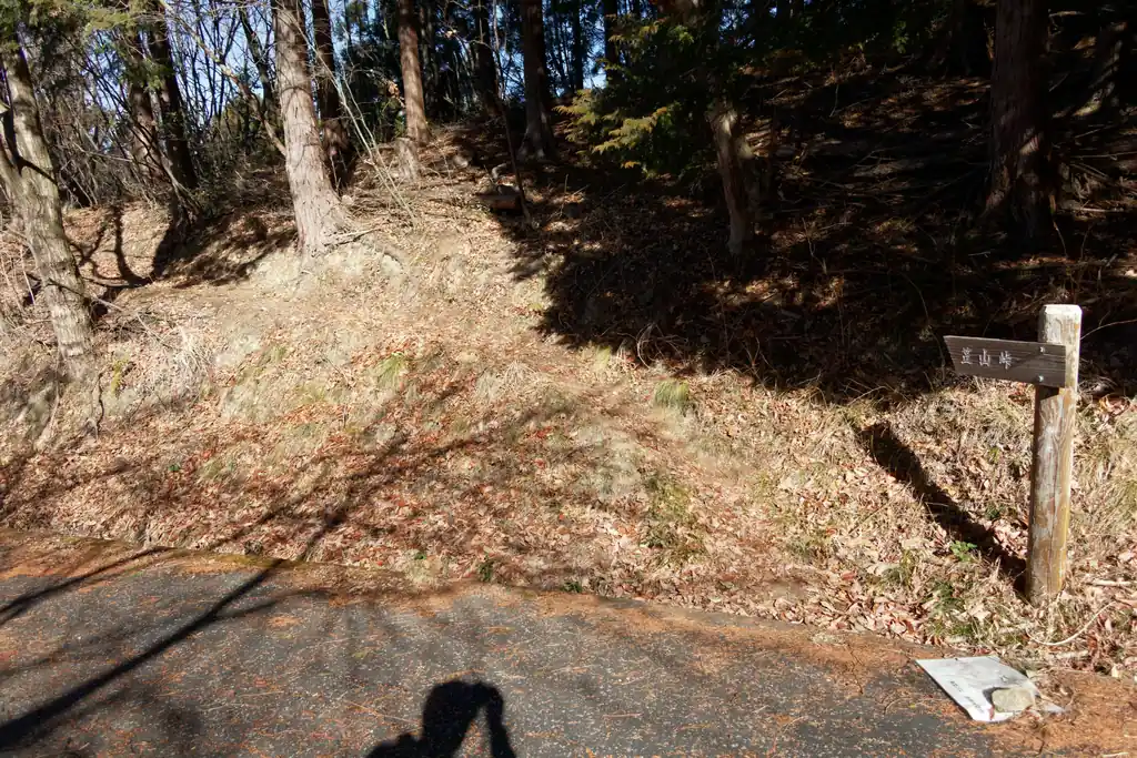 一度車道に出て目の前の山道に入ります