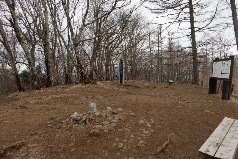 ガラガラの山頂。
以前来たときはもっと暖かい季節で、木の多い、見晴らしのあまりない山頂だなあ、と思っていたが流石に冬だと葉が散って、見晴らしが些か良くなる。