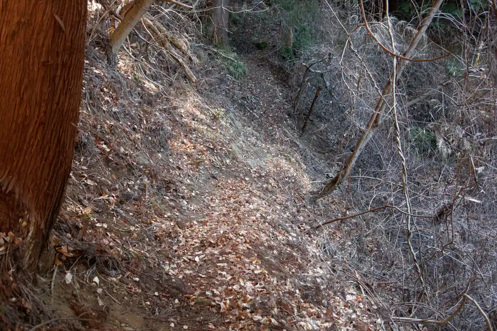 踏み跡は明瞭ですが、この細い斜面をトラバースするところだけが唯一の危険個所かな…。