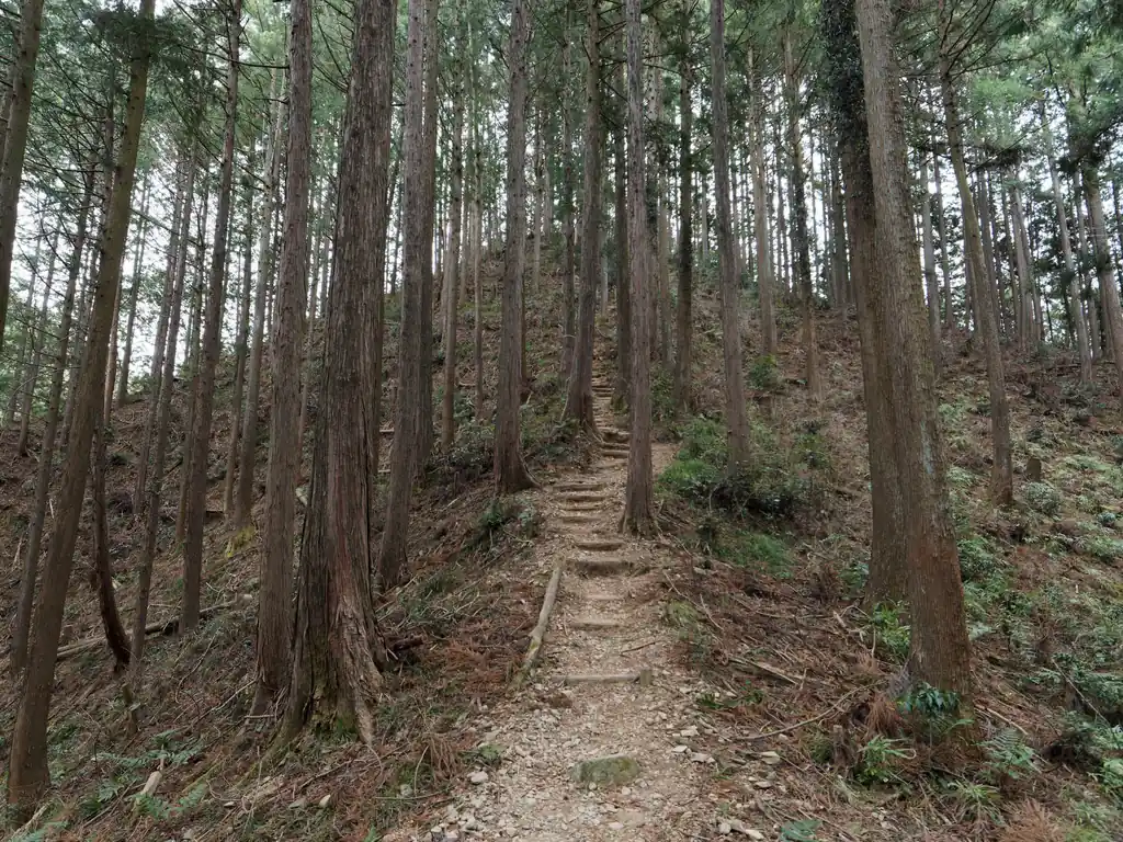 う～ん、この階段が地味につらい。
