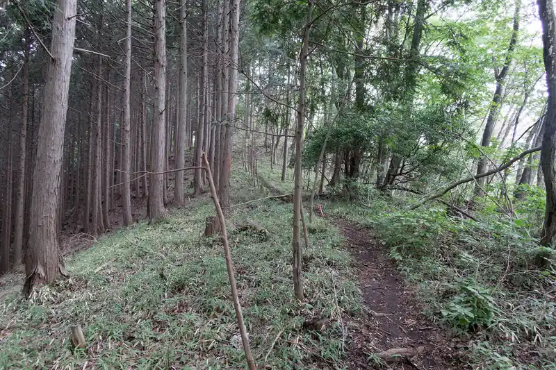 そのままのんびりとした道を歩いていって…