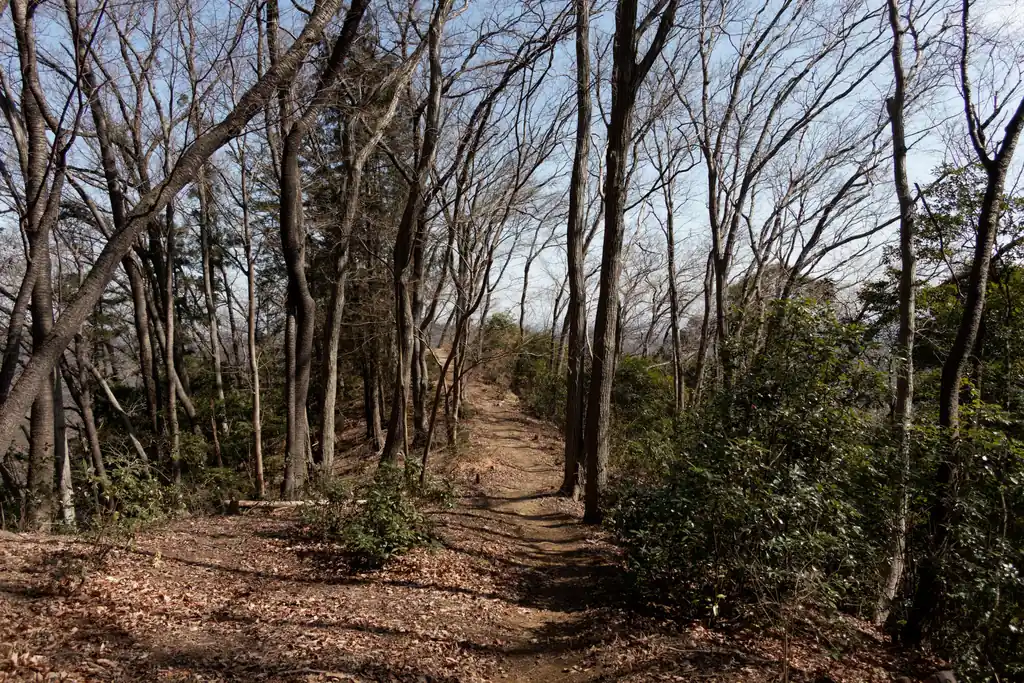 しばらく樹林帯歩きでしたが、少し行くと見晴らしの良いところに出ます。