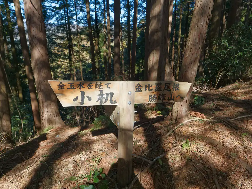 まさか！と思ったのだが、このあたりで男女二人組の登山者と遭遇。
うーむ、こんなルート歩く物好きな案外いるんだなあ…。まあためぐそ山、金玉水、というインパクトのでかい名前が強く影響しているのかもしれない。