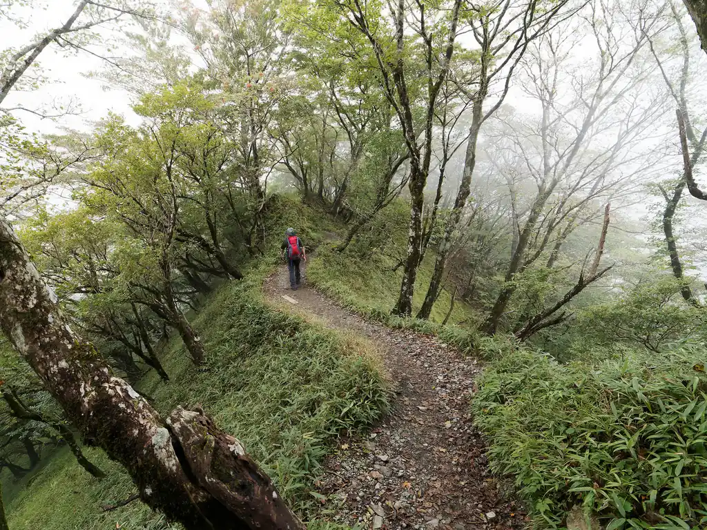花立山荘から先はまた道の雰囲気が変わります。道が細くなって両側が急斜面の道を歩くことになる。
少し緊張感はあるけど、怖くはない。