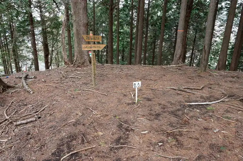 で、桜丸。ここも山頂標があるくらいでこれといって特徴のない山頂です。