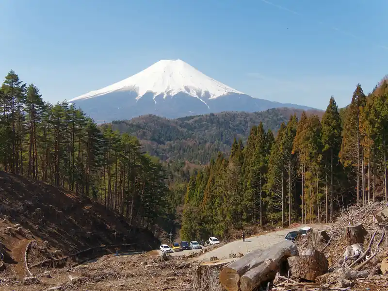 伐採地を歩いていくと目の前に富士山。う～む、富士山を見るにはこれ以上適した山はないかもしれない。
山頂手前で既に良い感じ。杓子山山頂へ期待が募る。