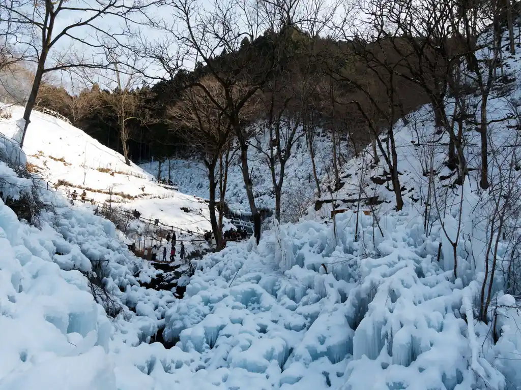 ごはん食べた後は今年二回目の氷柱見学。氷の上に雪が積もってこれはこれでなかなか。

このイベントが終わったらこっちを通る登山道で二子山に登ってみたいなあ。