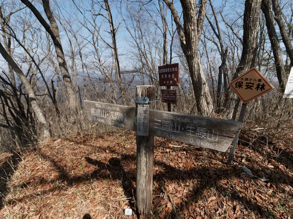  軍荼利山（ぐんだりさん、と読むらしい）に到着。
ここは坊主山より山頂が狭く、ベンチもない。