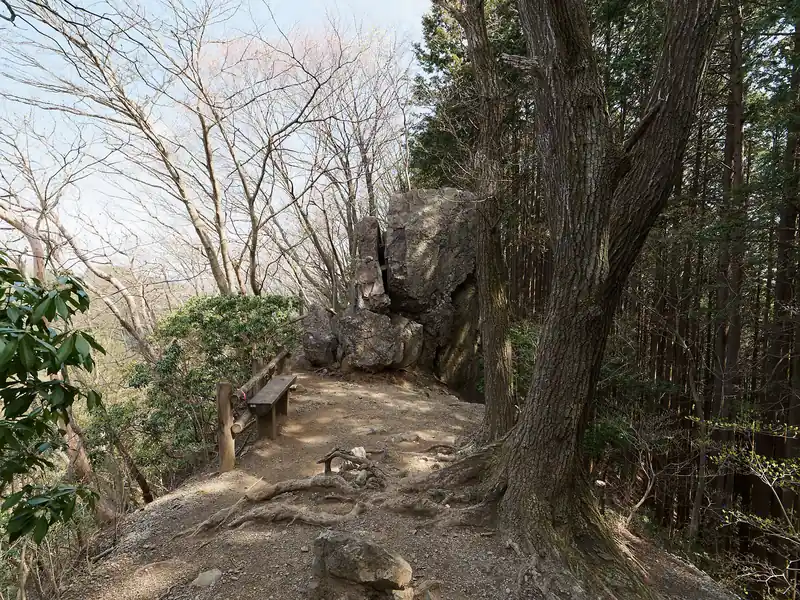 岩茸石に到着。
下山で尾根コースを歩く場合は、岩茸石の左側にある狭い道を超えて行く。初見だとわかりづらいかも。