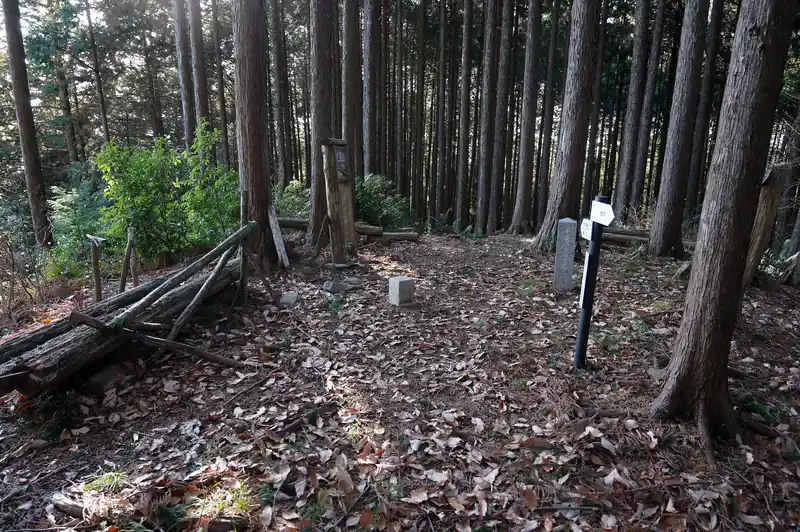 大仁田山山頂。