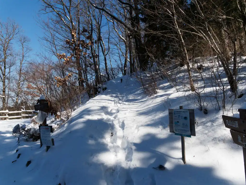 遊歩道を歩いてショートカットしてもよいのですが、折角なので尾根道を歩いていきます。