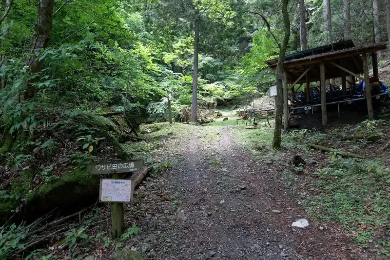 少し細い九十九折の道を下っていくとわさび田の広場に到着。
写真左側に沢があるのだが、水はもはや流れておらず、わさび田って清流が流れる沢の中にあるものなのでは？と頭の上にはてなが浮かぶ。
もうわさび田は無くなってしまったのかもしれない。

しかし、ここの都民の森は全く人の気配がない。三頭山の方にある都民の森はもっと賑やかだったんだが…。