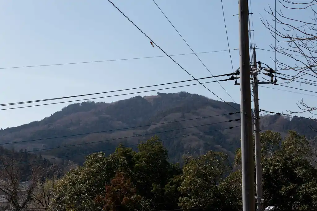 すぐ向かいに弓立山の山頂が見えますね。木がないのがわかります。見晴らしはよさそうだ。