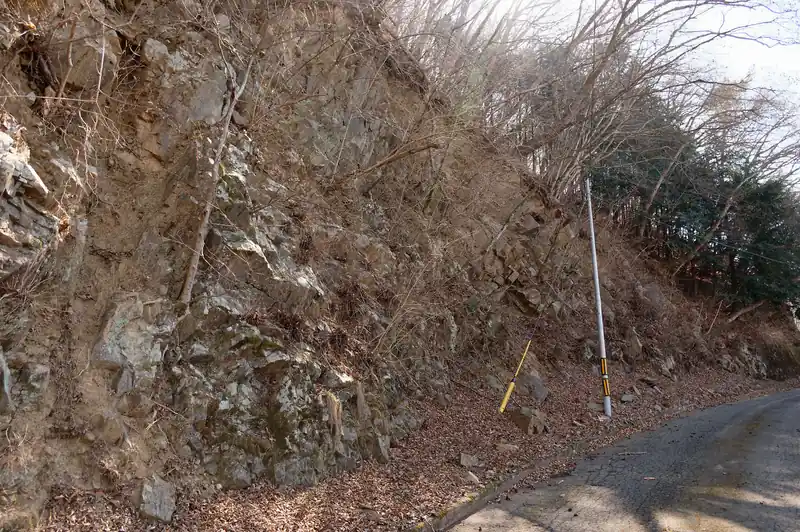 その後は舗装路に降りて大滝不動まで向かいます。
舗装路には枝や石ころが転がっています。山側は岩むき出しなので、今も崩れているんでしょう。