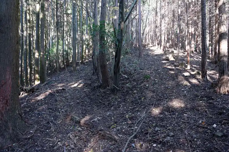 ここで分岐のように見えたんですが、右・左どっちをいってもすぐ合流。