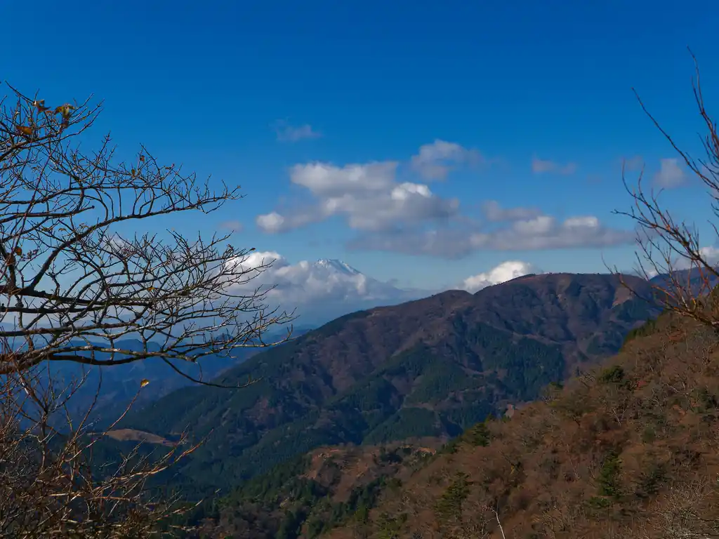 ここからは富士山を眺めることができる。向こうの尾根は何の尾根だろう？