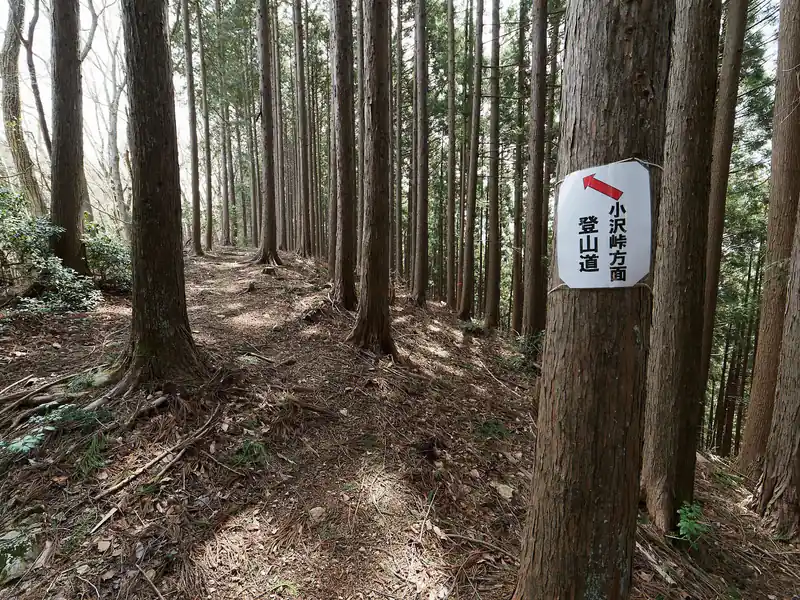 そのまま向かいの登山道へ。