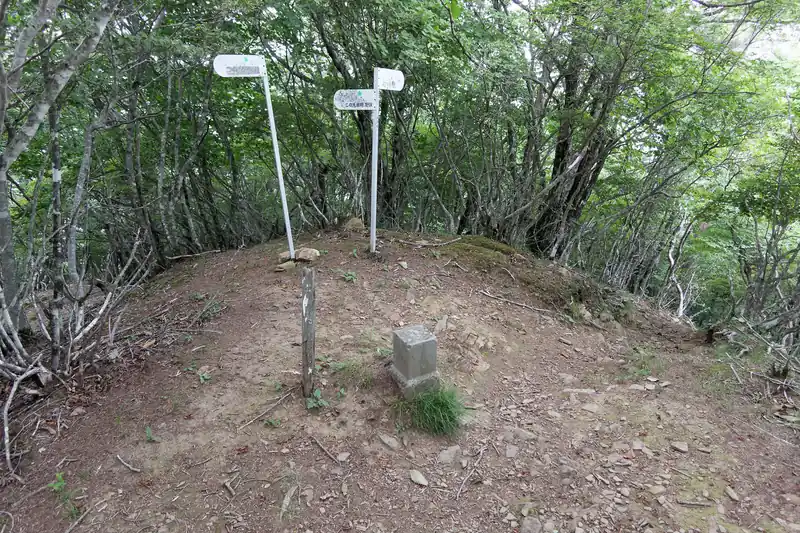 西峰を後にして、東峰に来ました。ここには三角点があります。
周りは木に囲まれていて眺めは全くありません。あと広さもそれほど広くない。