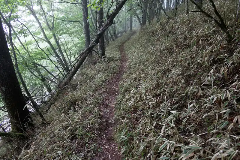 ずっとこんな感じの道です。