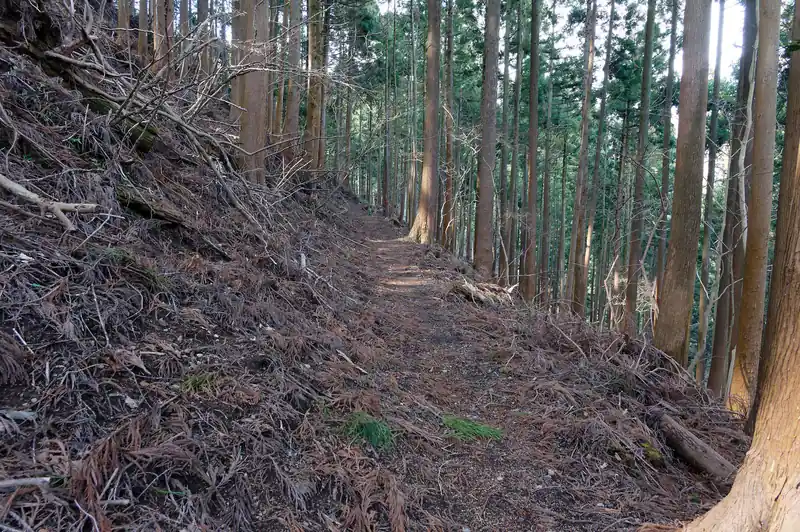 歩きやすい道続きます。