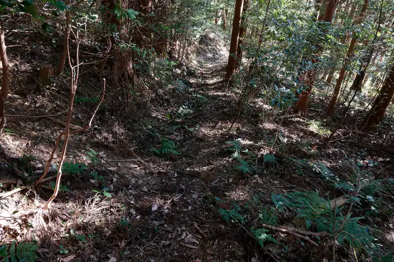 道は若干荒れ気味。