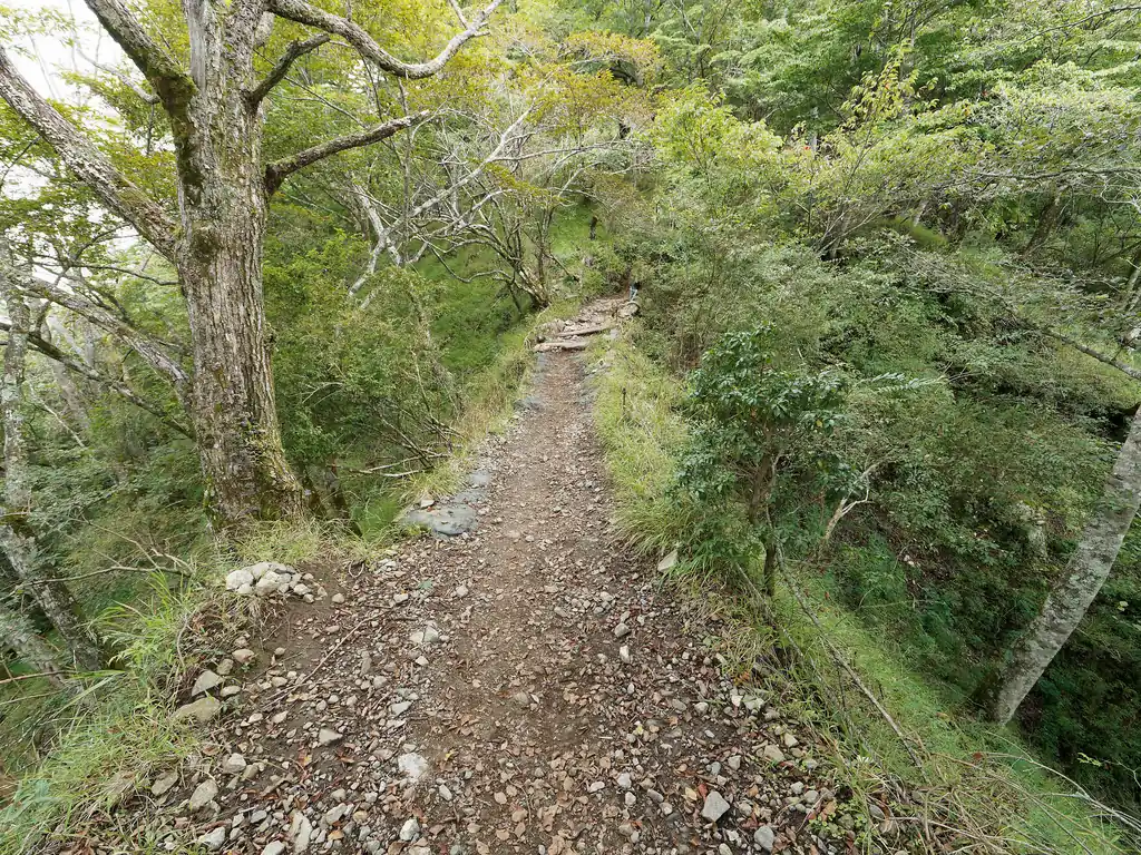 途中細い尾根もありますが、怖さはなし。よく踏まれて非常に歩きやすい道なので。