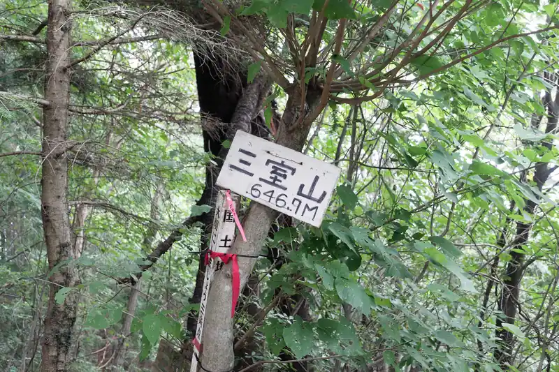 そのまま歩いていって三室山へ。
ここまでは社からすぐの場所。