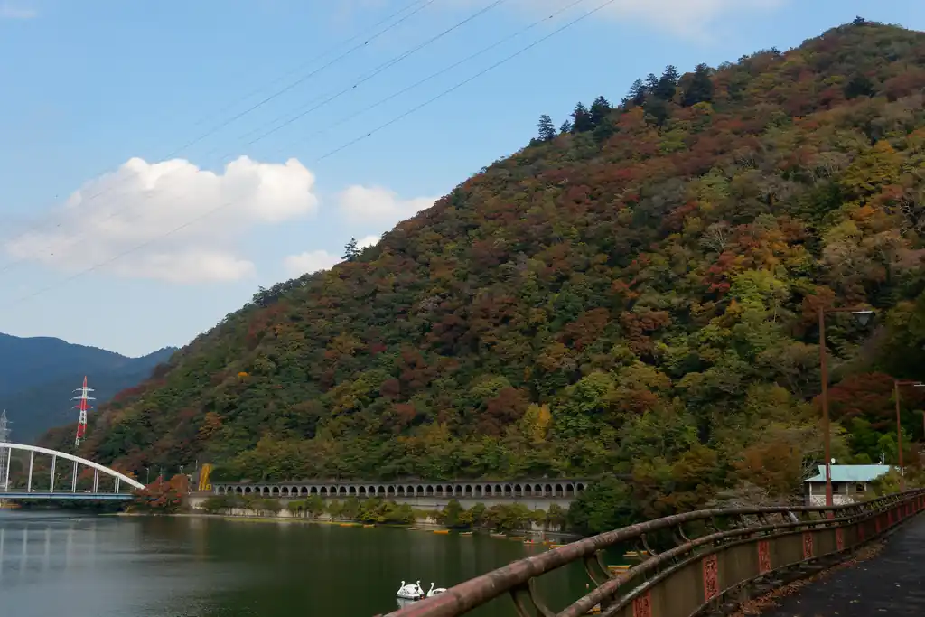 しばし相模湖の脇を通る。
意外と大型トラックが通るので少し緊張感のある道だった。
目の前には微妙に紅葉した嵐山。