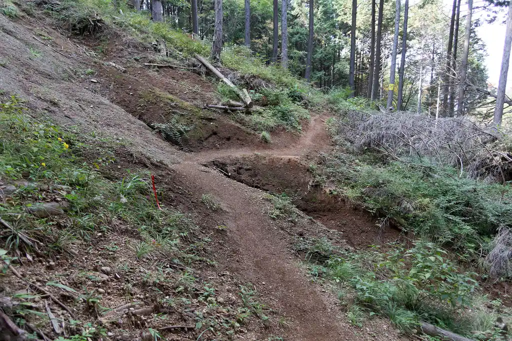 登山道は綺麗に整備されていた。
どうも、少し前まではこの顕鏡寺コースはこの崩落により通行止めになっていたらしい。

顕鏡寺コースは、登りで使った大明神展望台コースよりもかなり綺麗に整備されているように感じる。道の歩きやすさが1～2段階上といった感じだ。