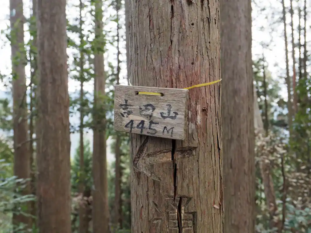 吉田山に到着。
