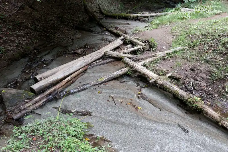 沢でこんな感じの砂があるのは珍しい気がしますね。私は他で見たことはないかも。