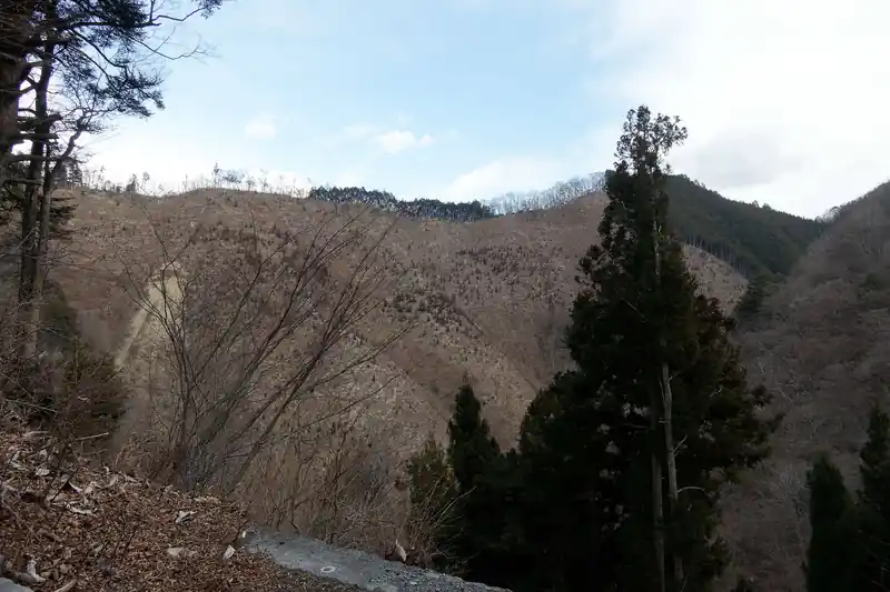 向かいは大きく伐採されて見晴らしが良さそうです。おそらく江戸小屋尾根だと思います。