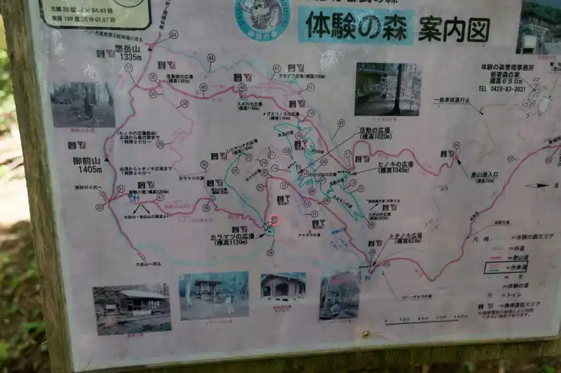 中には作業道みたいな道もありそうだが…。