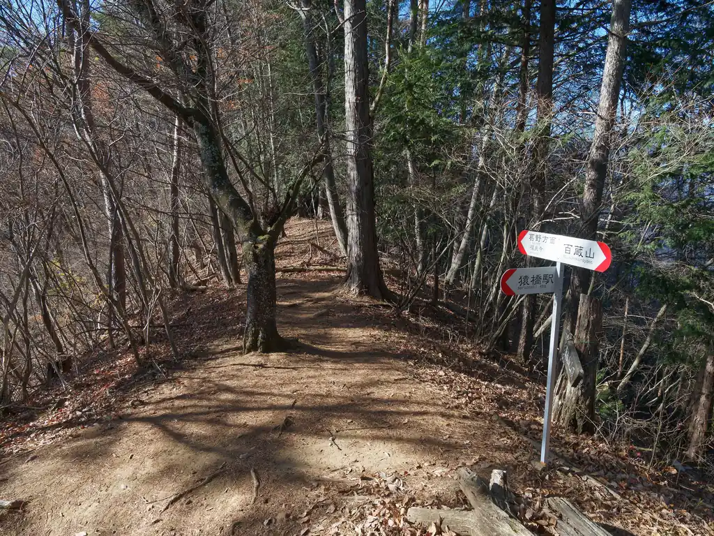 下山は大同山方面にいって、猿橋駅分岐から下山する。大同山も登っても良いけど、どうせ何もなさそうだし、行ってもな～と思ったので行かなかった。