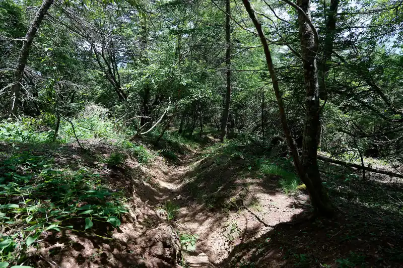 木無山の先で一気に標高を下げた後は、ユルユルと下っていく道。全体を通して歩きやすく、分岐はいくつかあるものの、道標もあるためわかりやすい。