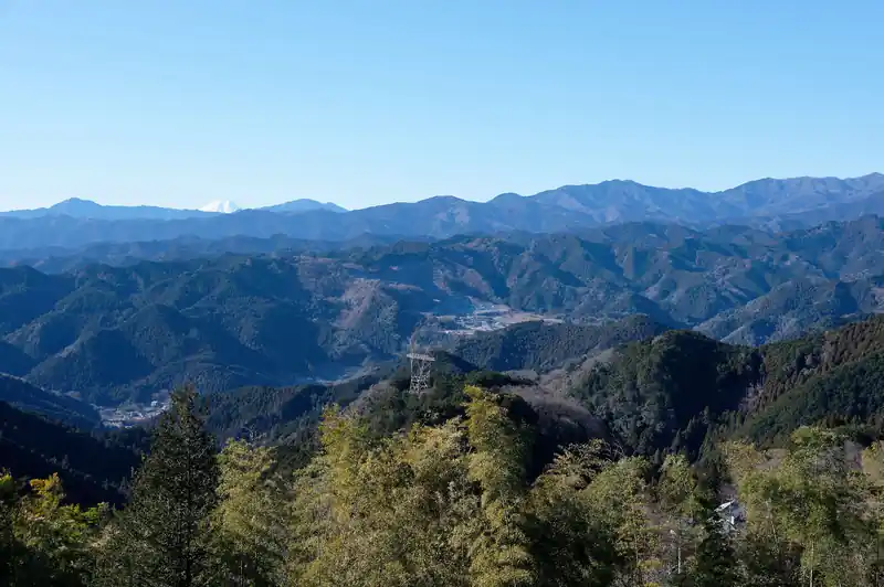 この景色が見たかったのだ。
今日は空気が澄んでいて雲もなく、奥武蔵の山々がよく見える。