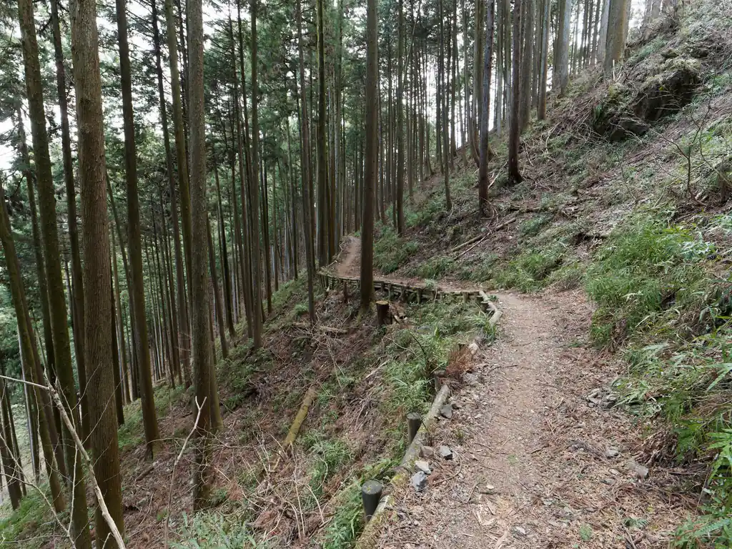 雷電山からはしばらく水平な道。雷電山で休んだこともあって、足は微妙に回復していて元気になっております。