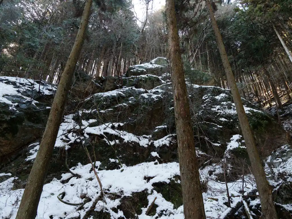 巨石の連続。この道は巨石が多くて、いつも立ち止まって観察してしまう。