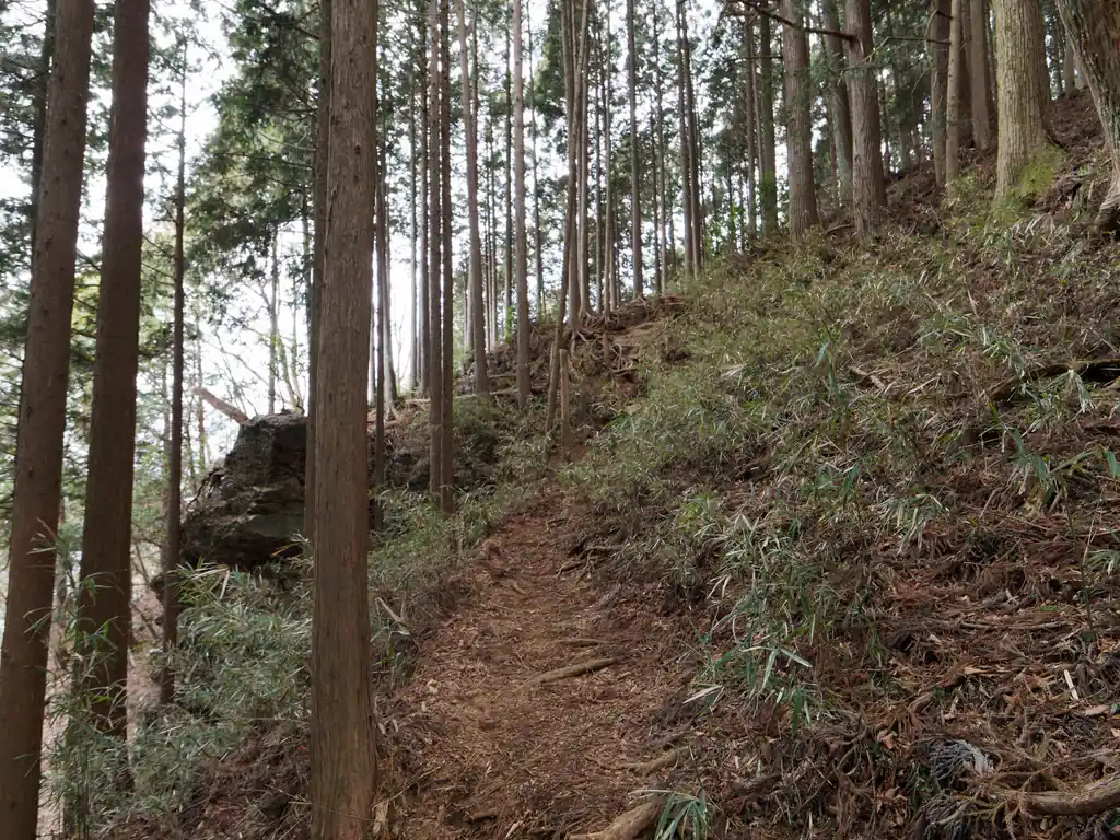 惣岳山は岩場があると聞いていたので、そろそろかな、とドキドキしながら登ります。
巨石があったので、岩場は近いのか～？と思っていたんですが、岩場は惣岳山から岩茸石山方面に向かう山頂直下なので、こちらにはありませんでした。