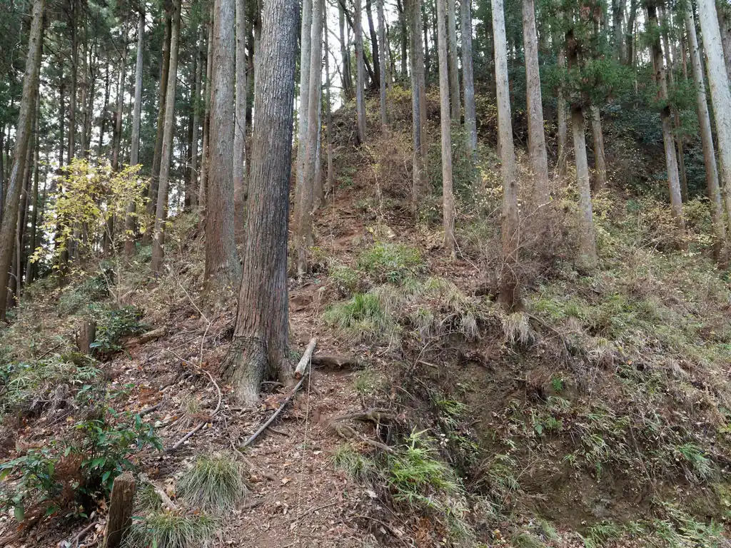 唯一難所らしい箇所がここかな。
ロープが垂れていて、そこそこの急坂。逆に言うと、ここ以外は歩きやすい道。