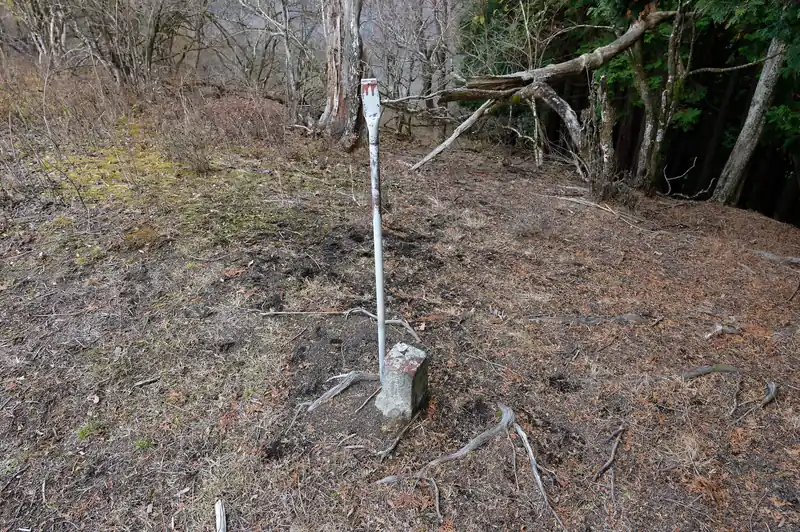 三角点と山頂標でもあったのかな、と思うような棒。