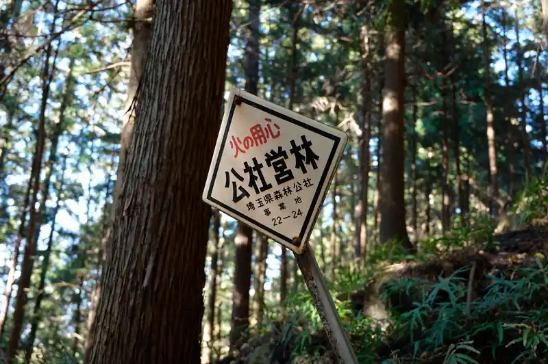公社営林。