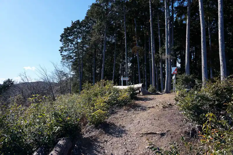 振り返って西山高取のベンチ達。