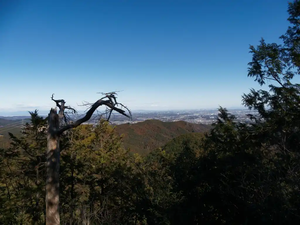 スカリ山を通過して次は観音ヶ岳。こちらも山頂からの見晴らしは良いが、スカリ山と違い、山頂が狭く、丸太ベンチ等がないのでこっちで休憩している人は見たことがない。
