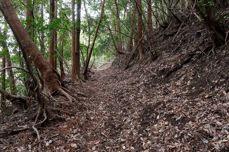 九十九折の歩きやすい道です。
この道、山と高原地図には載ってなかったんですが、歩く分には問題なし。